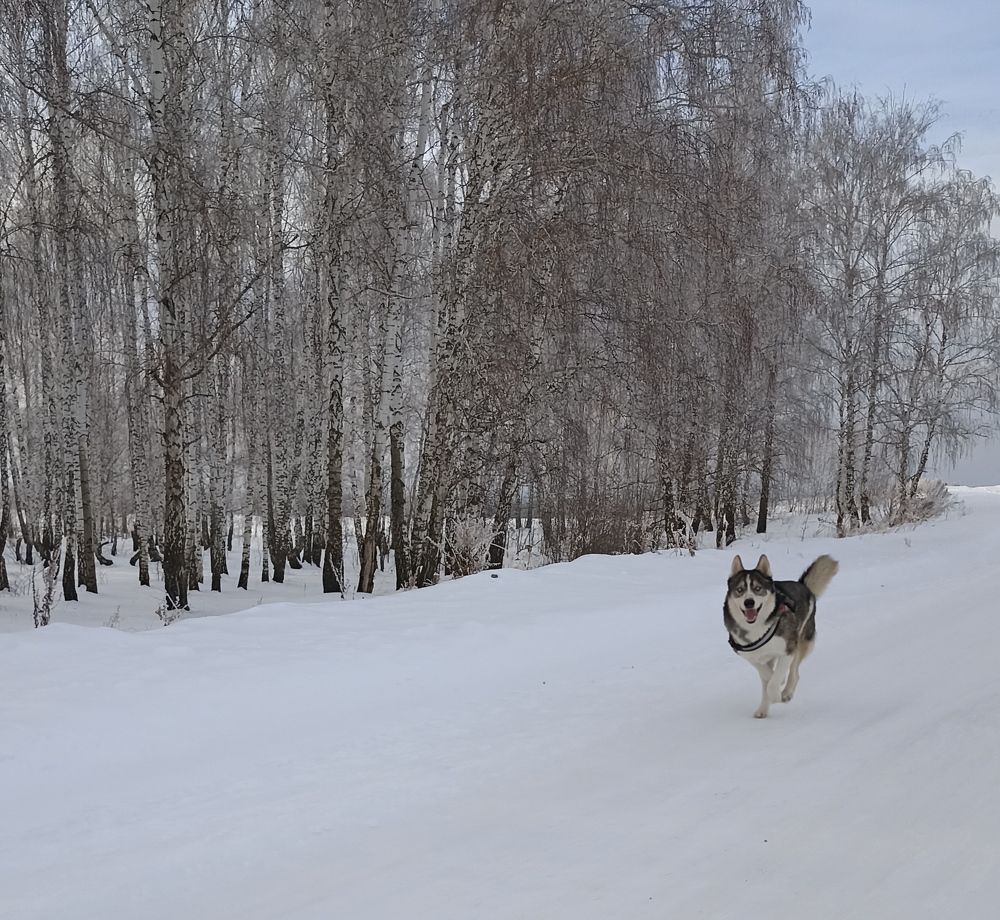 Photograph by Иван Левин