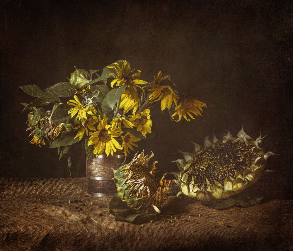 Photograph by Марина Хаева