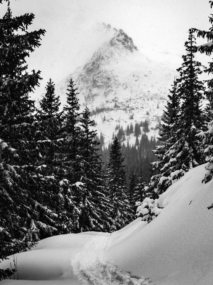 One day in the winter mountains