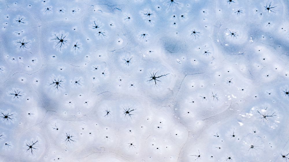 Photograph by RIZVAN TALHA KAYNAK