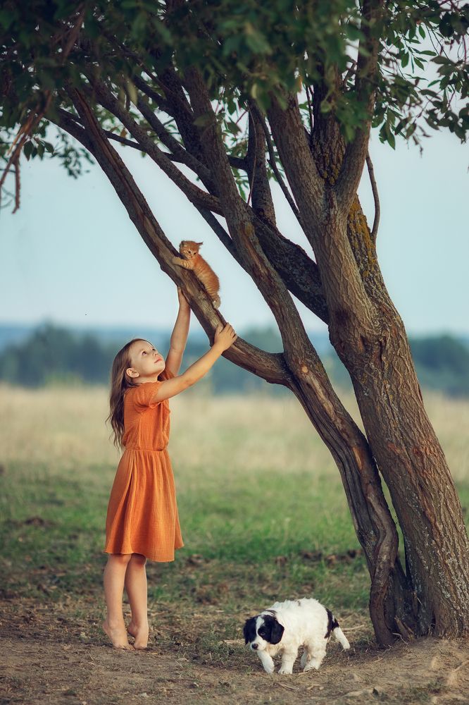 Photograph by Костюк Зоя