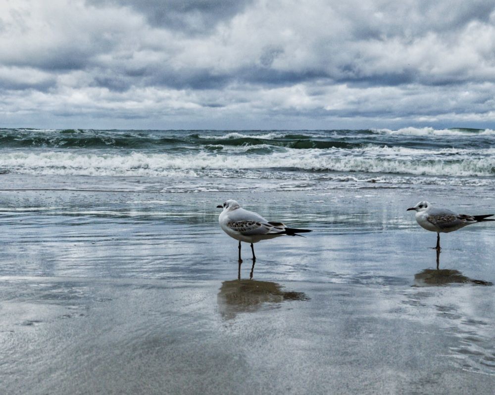 Photograph by Женя Жданова