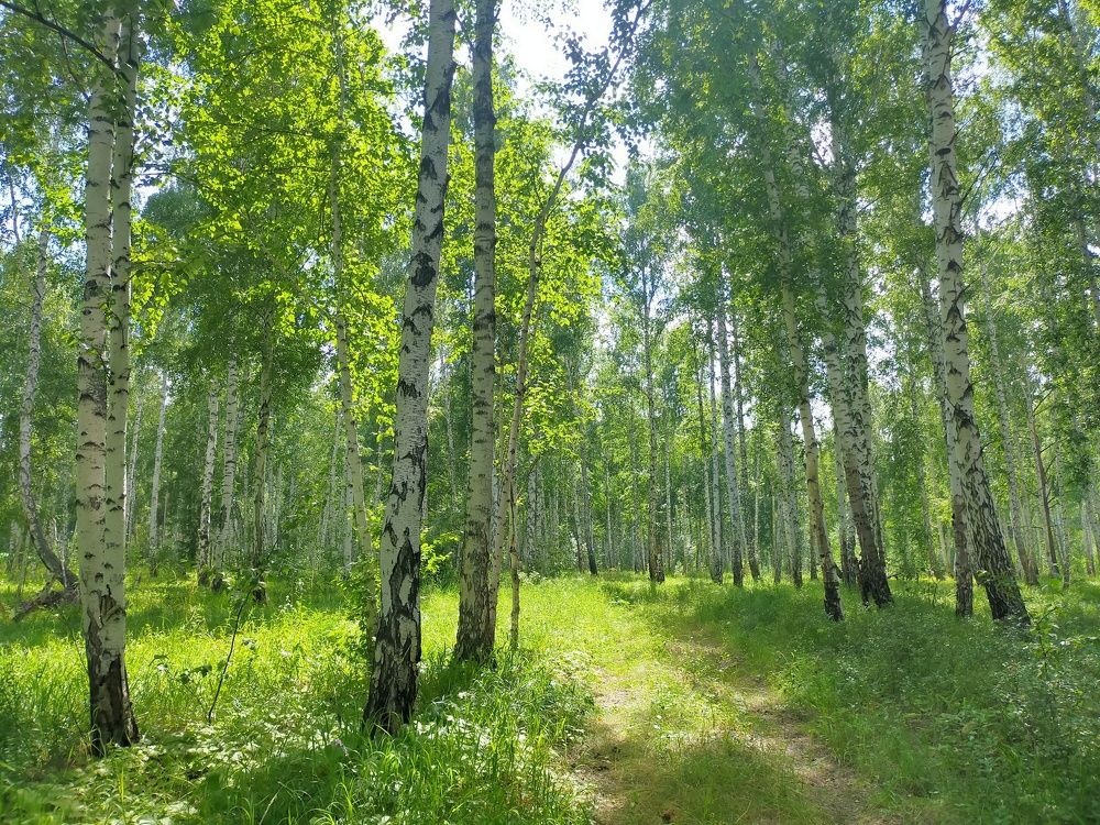 Photograph by Оксана Макарова