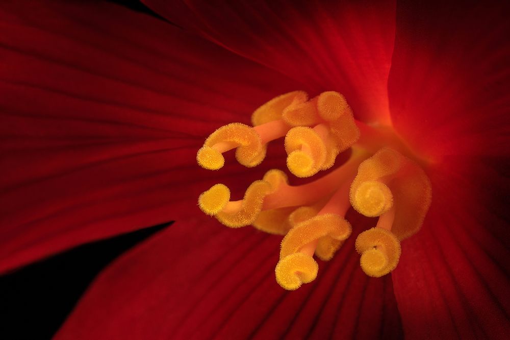 Фотография автора ЯR Ольга