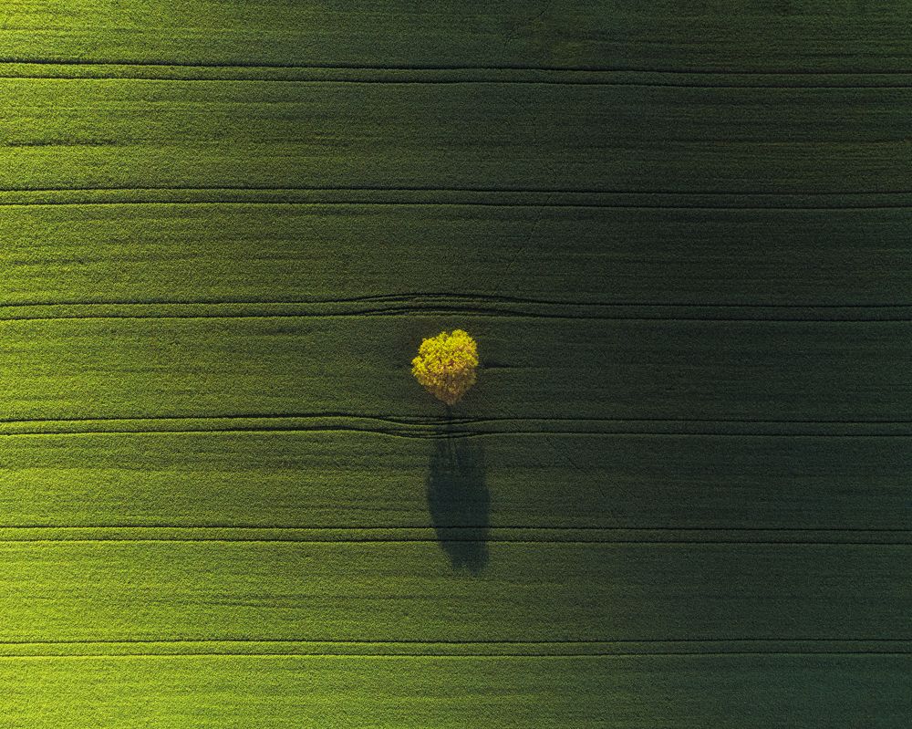 Photograph by RIZVAN TALHA KAYNAK