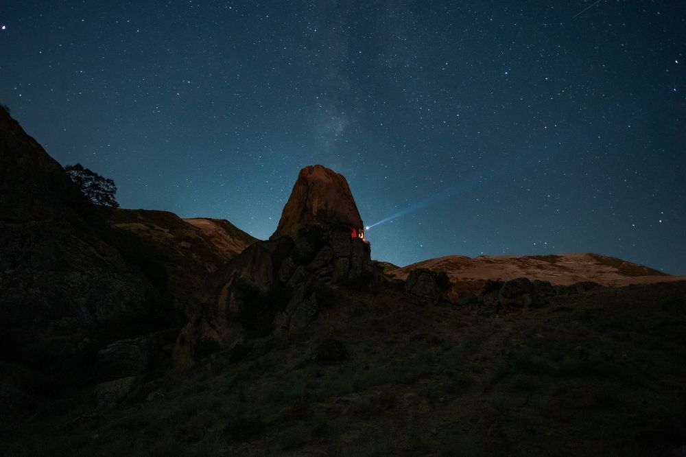 Photograph by Ксения Гасица