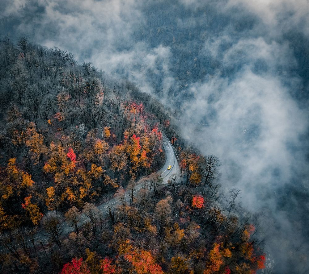 Фотография автора Reza Rafizadeh