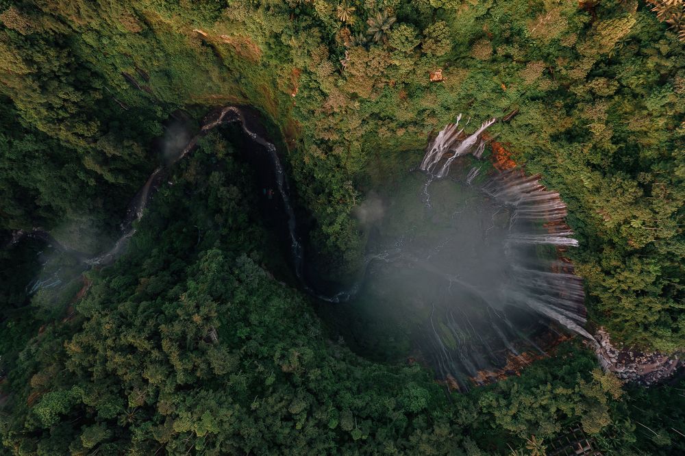 Photograph by Анастасия Сауль