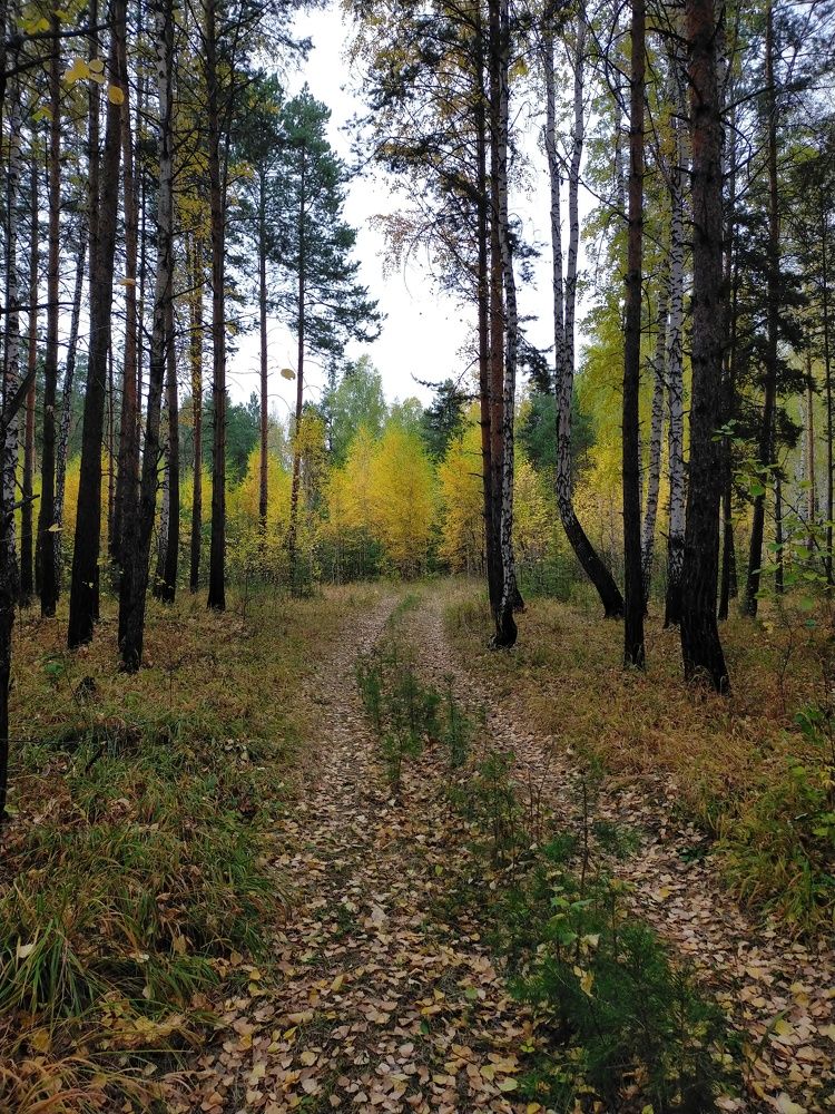 Photograph by Оксана Макарова