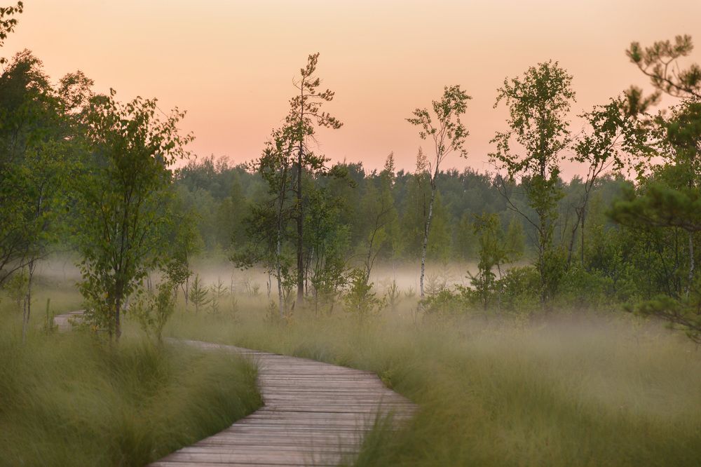 Фотография автора Рохмистрова Мария