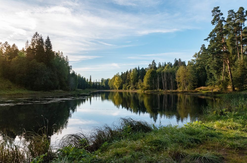 Фотография автора Рохмистрова Мария