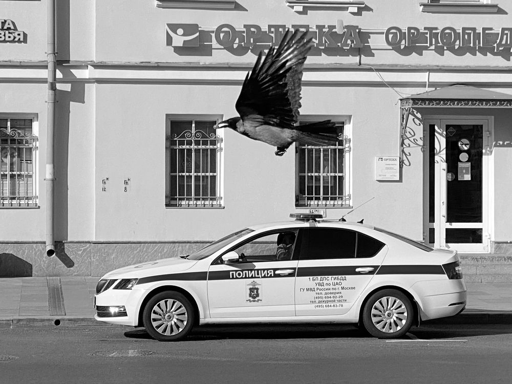 Photograph by Evgenia Barinova