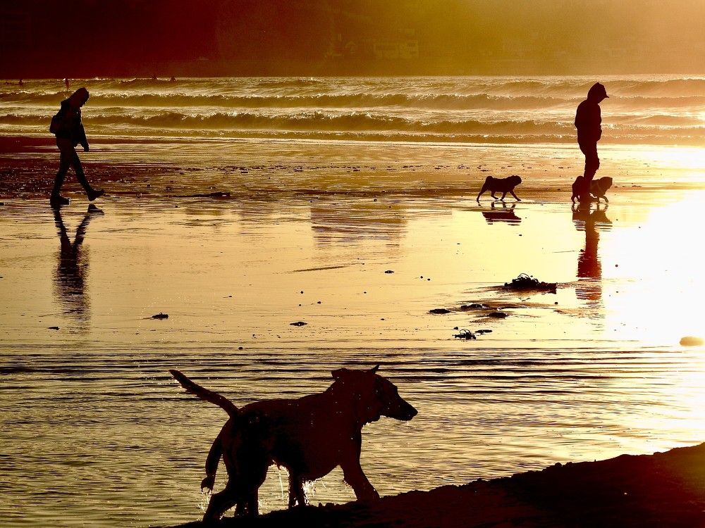 Photograph by wilfredo rojas