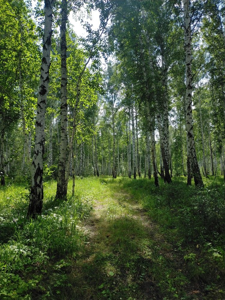 Photograph by Оксана Макарова