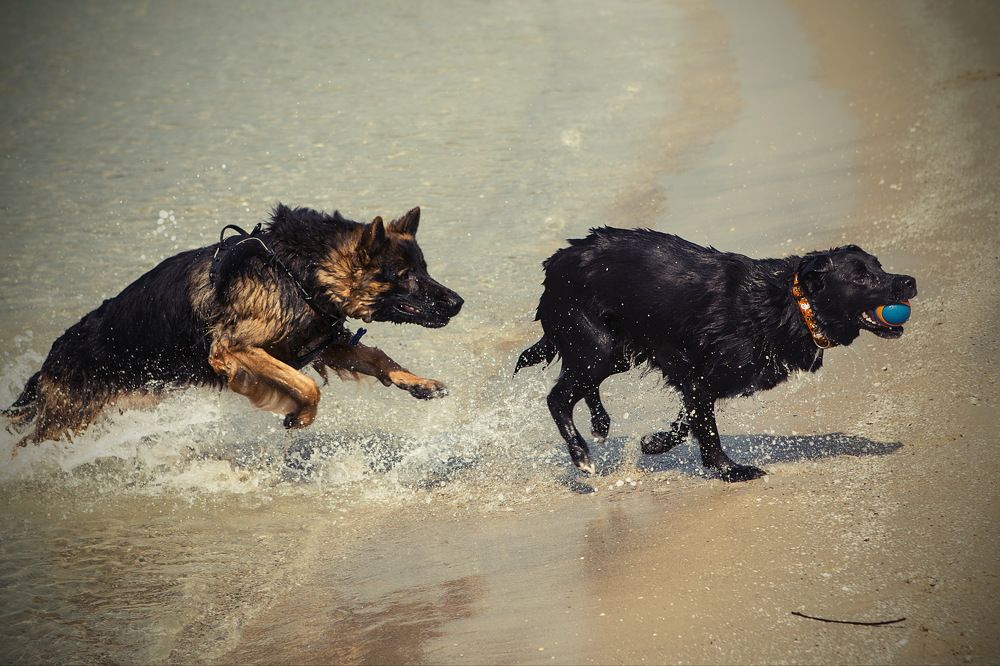 Photograph by Ольга Золототрубова