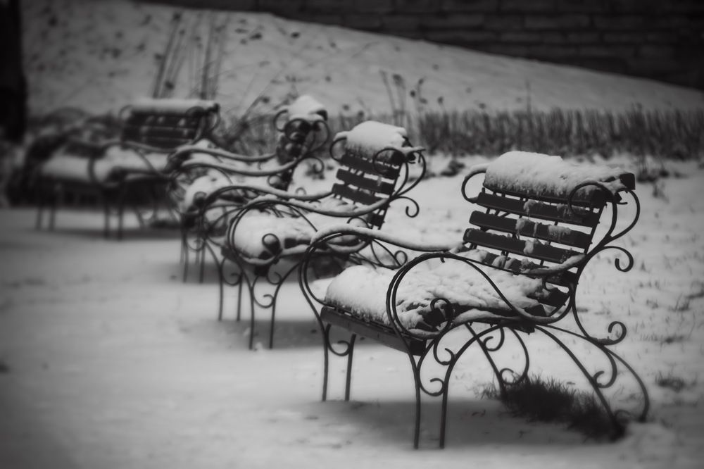 Photograph by Ольга Золототрубова