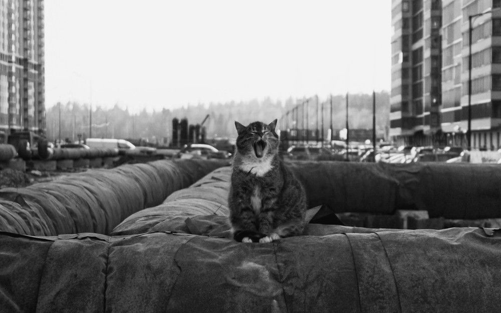 Photograph by Анна Македонская