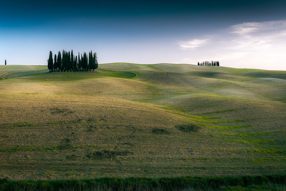 Photograph by Amos Ravid