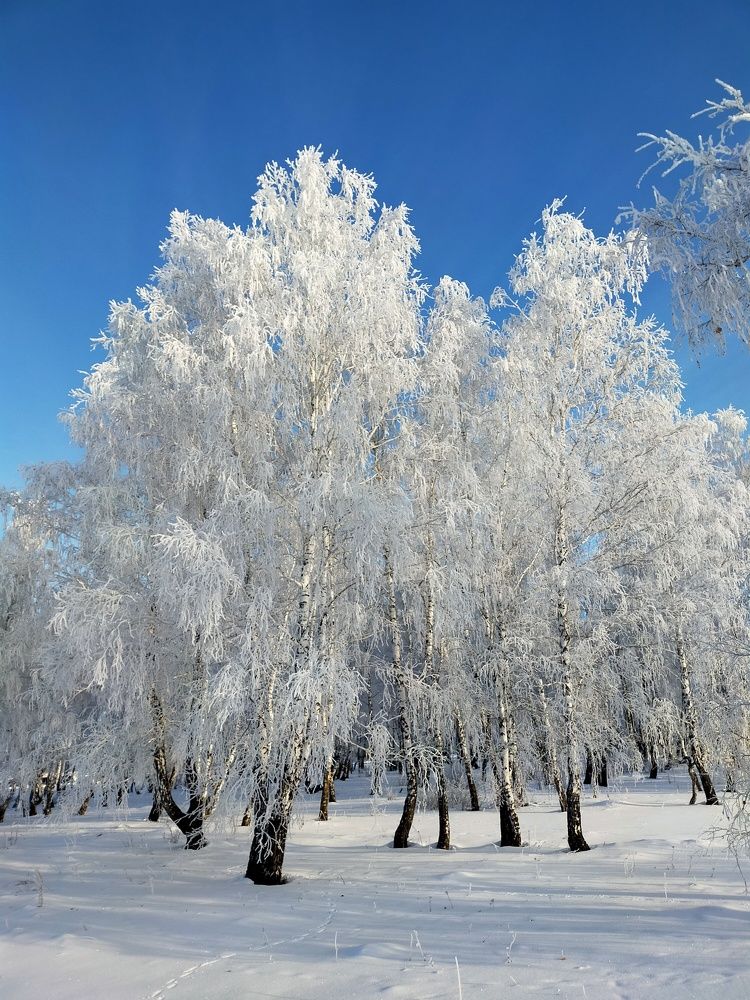Photograph by Оксана Макарова