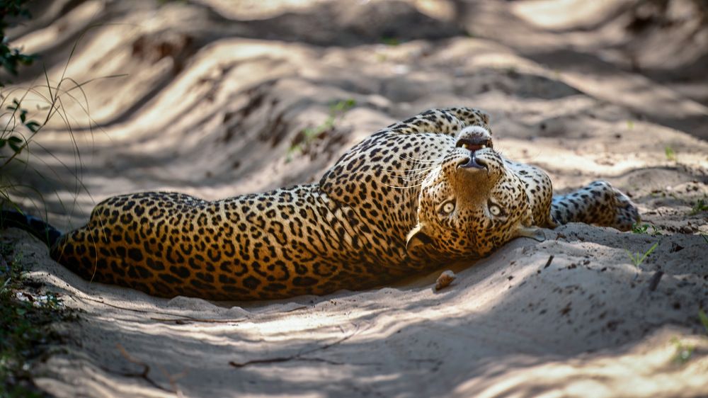 Photograph by Sergey Puponin