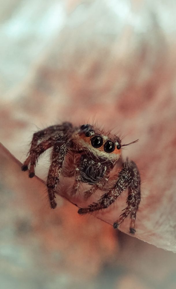 Photograph by Abhijith A S