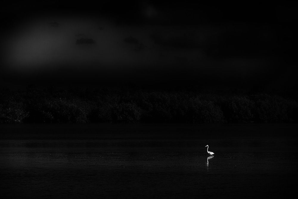 Фотография автора Kenny