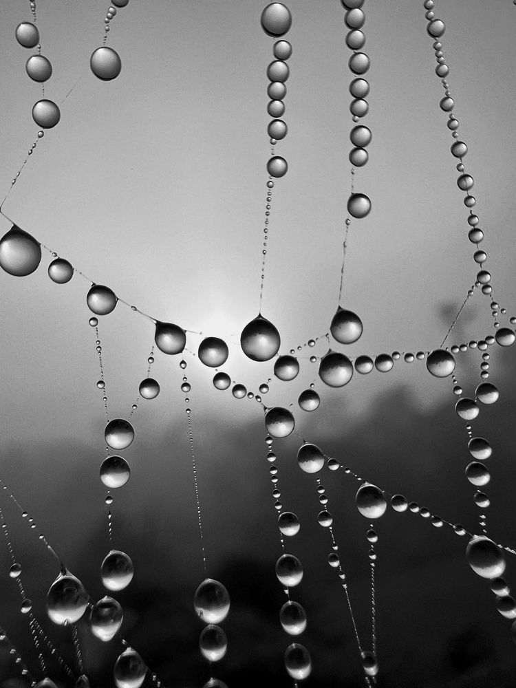 Photograph by sagar pavale