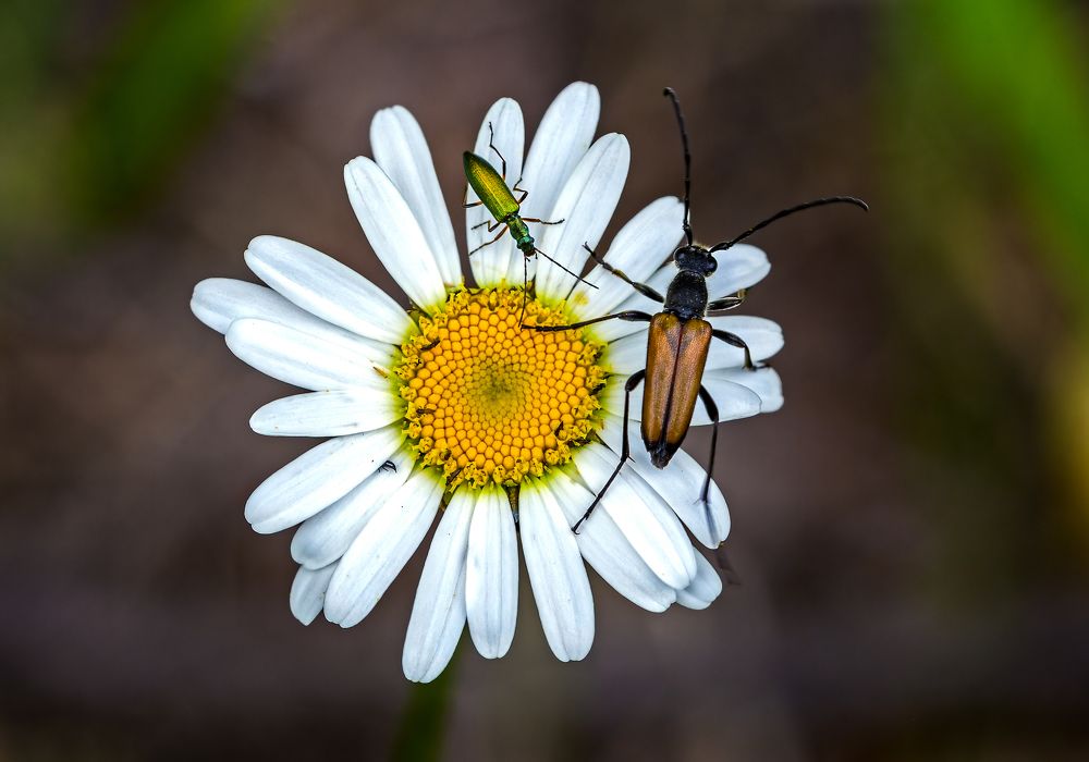 Photograph by Борис Новиков