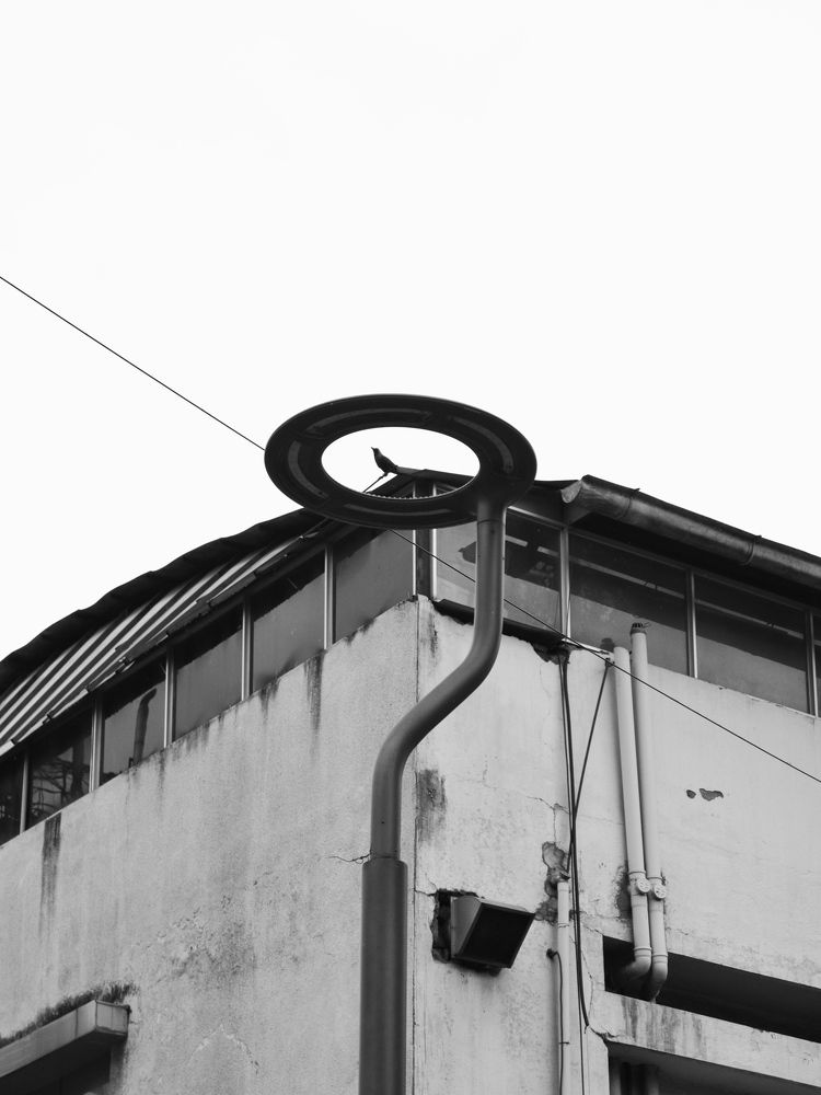 Photograph by sagar pavale