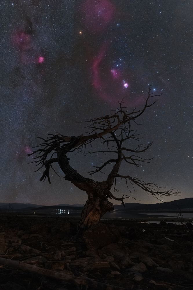 Photograph by RIZVAN TALHA KAYNAK