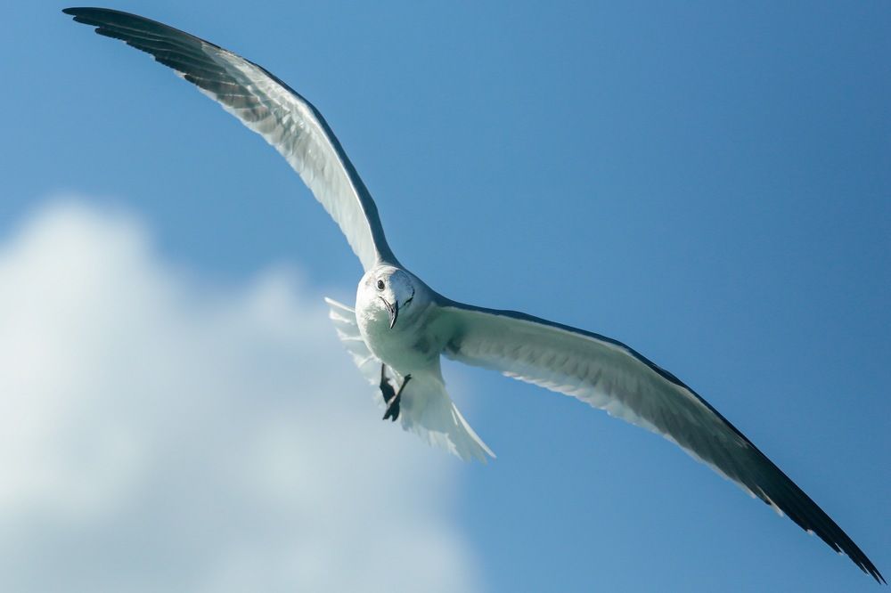 Фотография автора Kenny