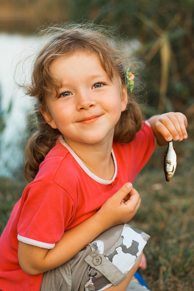 Хитрая лиса