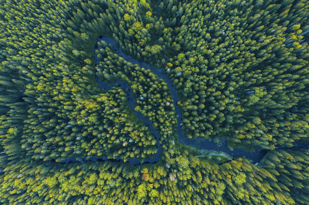 Photograph by Андрей Казаренко