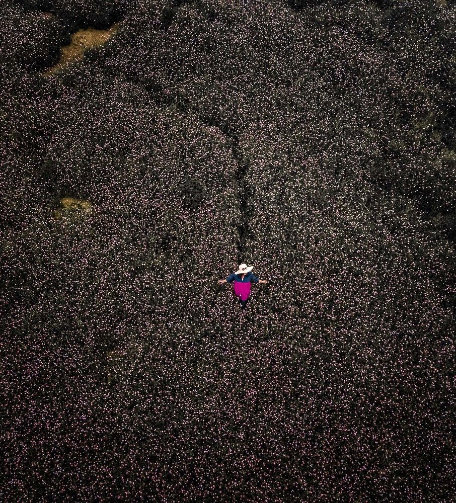 Фотография автора Reza Rafizadeh