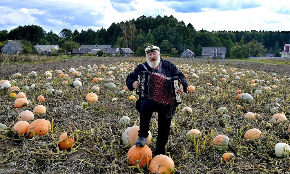 Веселыйфермер