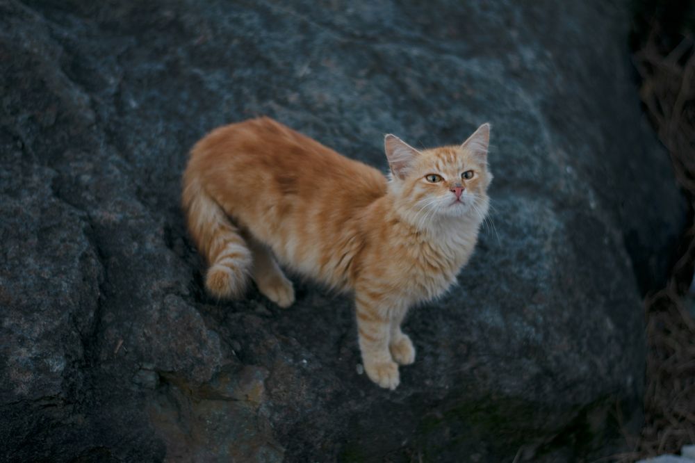 Photograph by Mina Mamdouhi