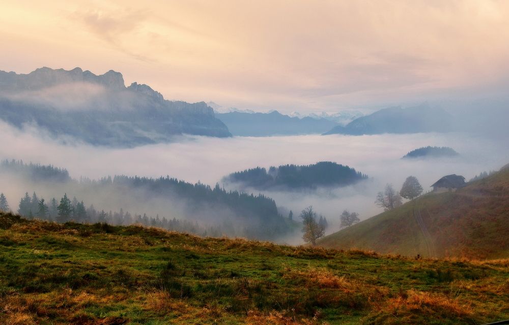 Photograph by Elena Wymann