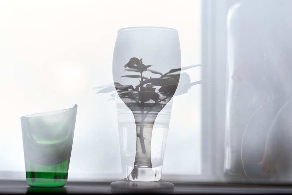 Фотография автора Виктор Конев