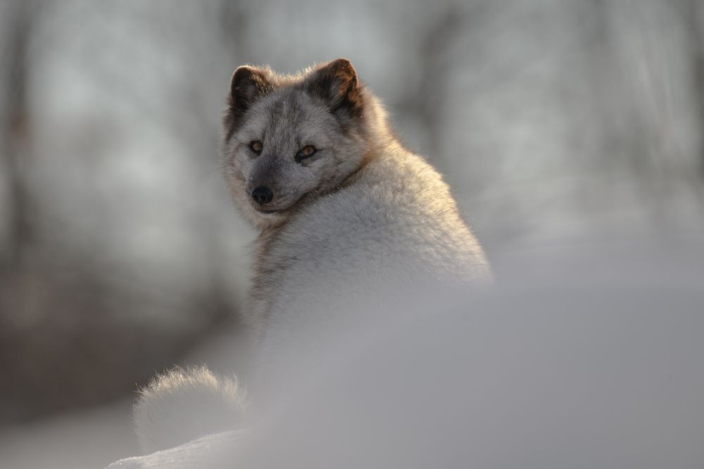 Photograph by Nathalie Talbot