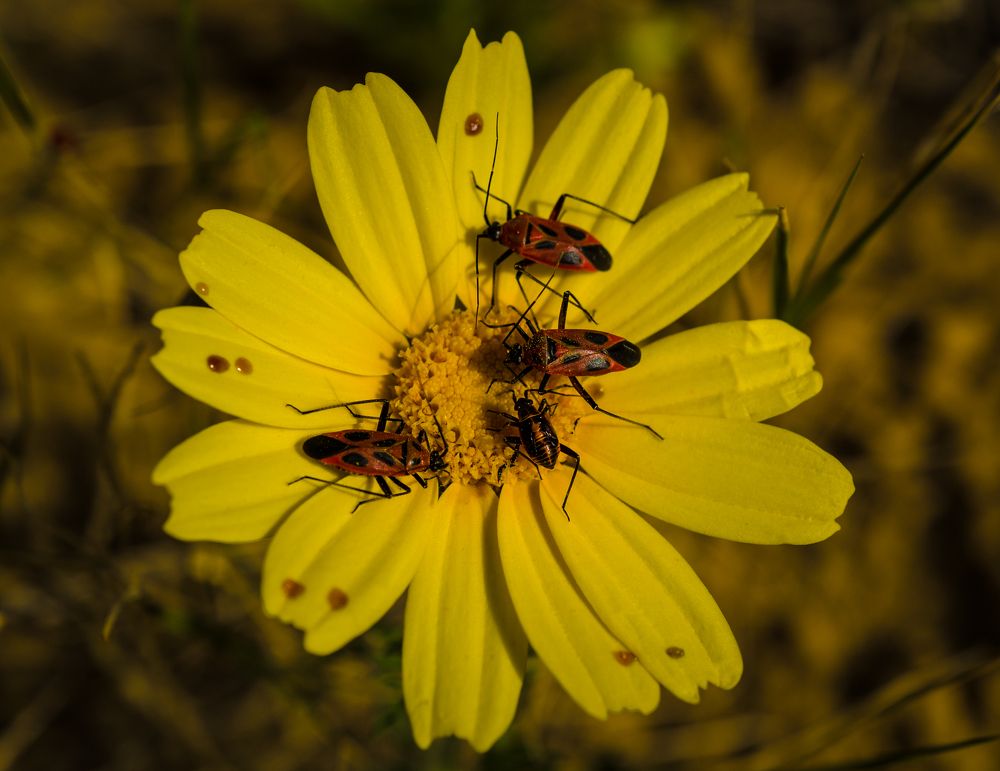 Фотография автора ghassen bargaoui