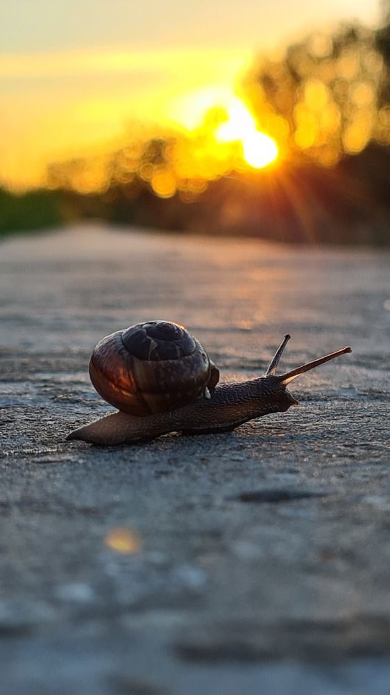 Photograph by Наталья Миндовская