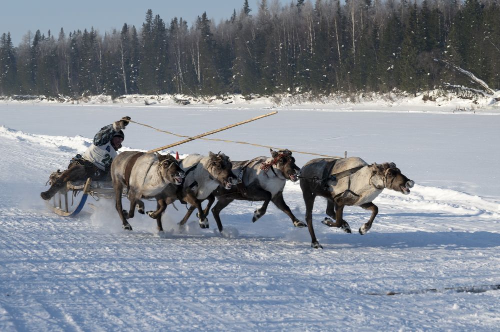 Photograph by Татьяна Борисова
