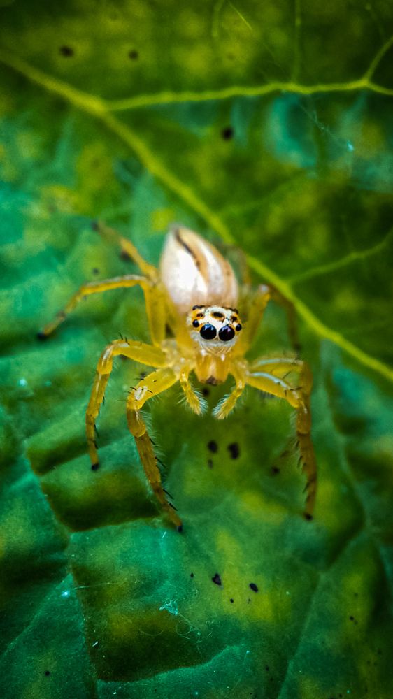 Photograph by Abhijith A S