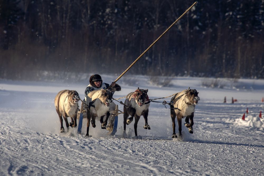 Photograph by Татьяна Борисова