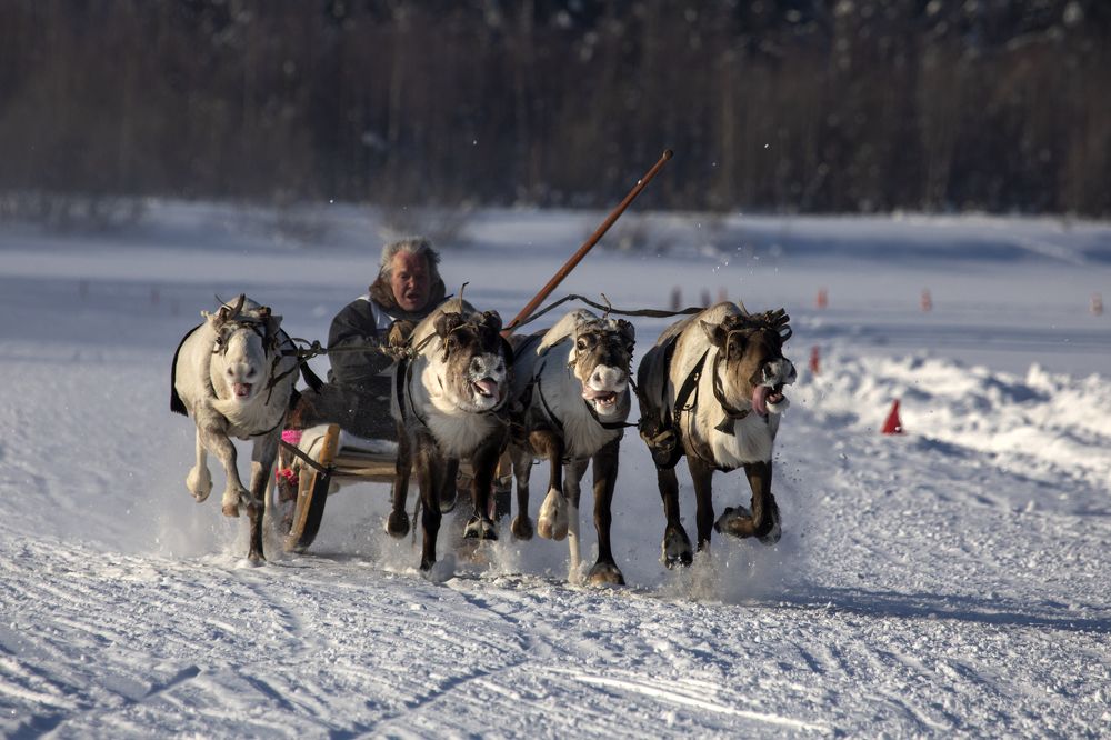 Photograph by Татьяна Борисова