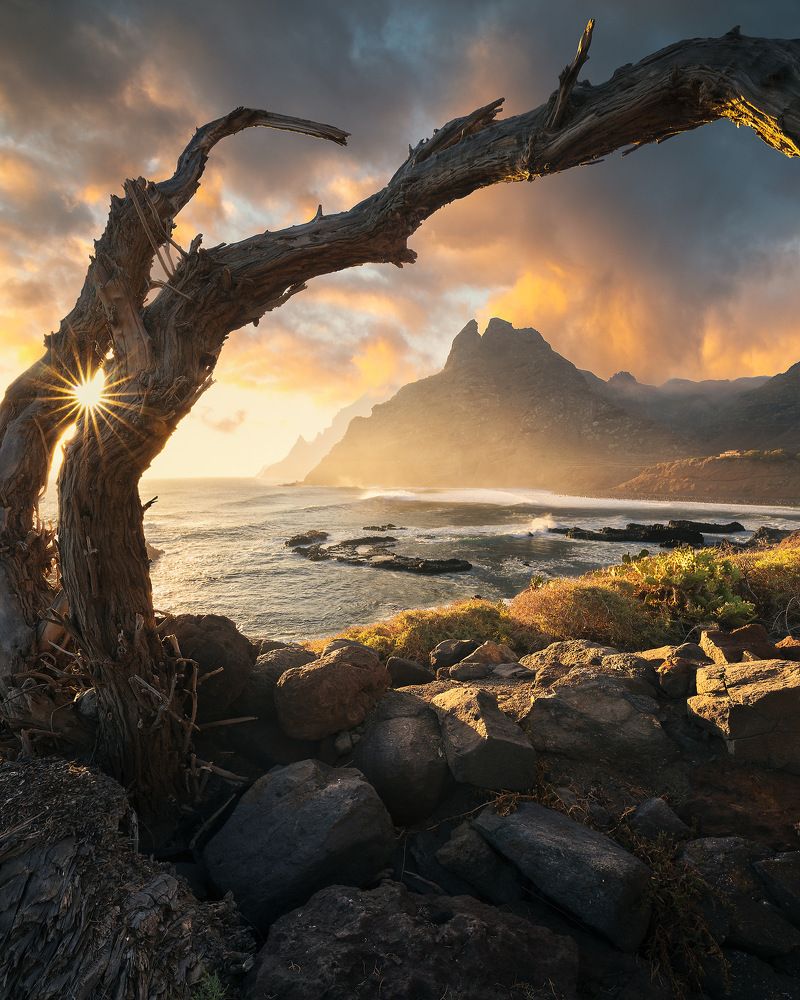 Photograph by Roksolyana Hilevych