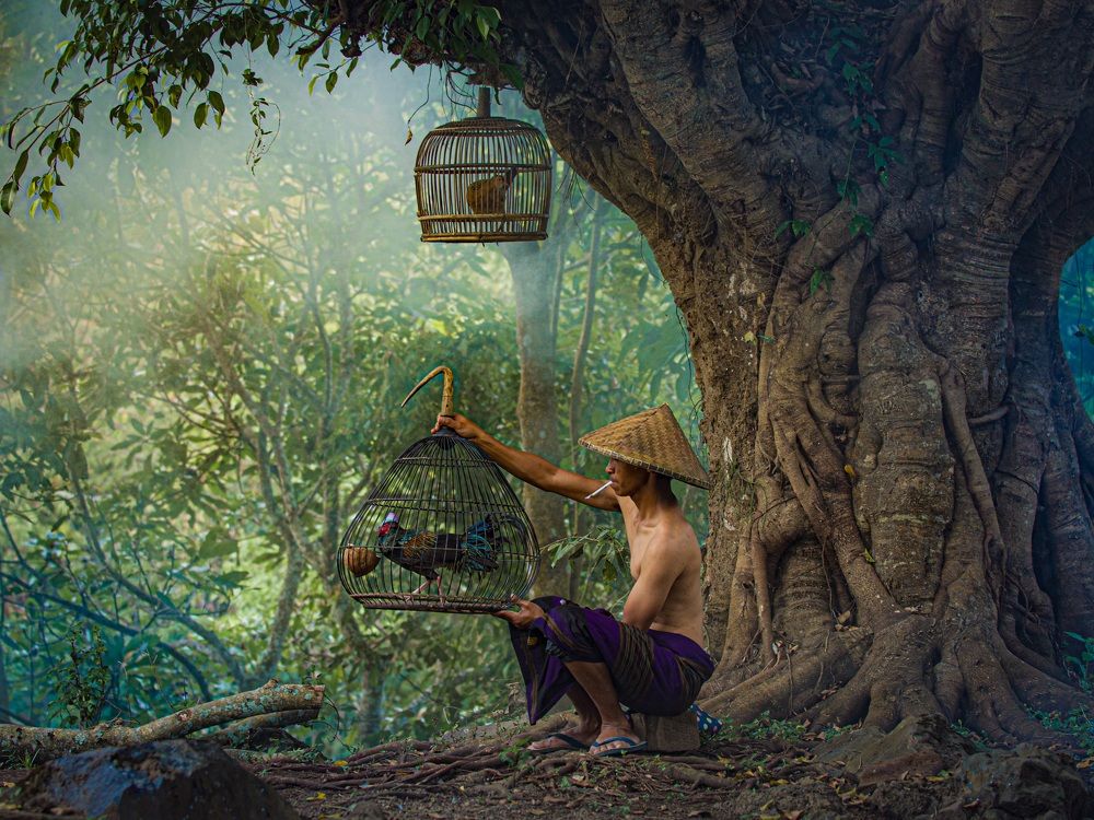 Photograph by Yusuf Madi