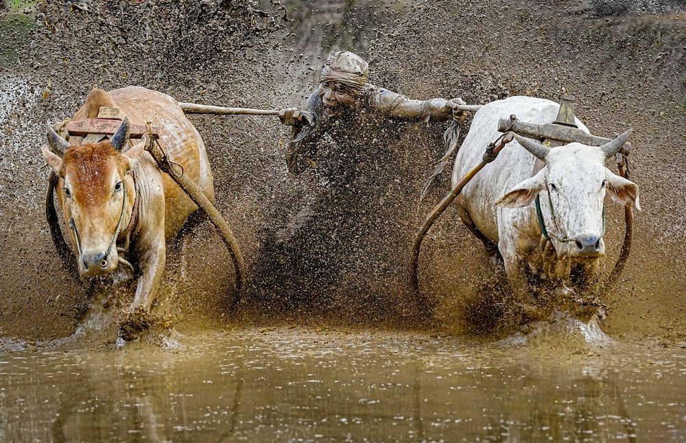 Photograph by Yusuf Madi