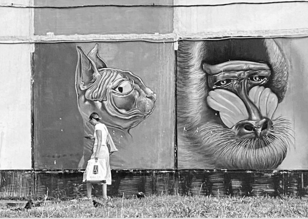 Фотография автора ГУЗАЛИЯ ГАНИЕВА