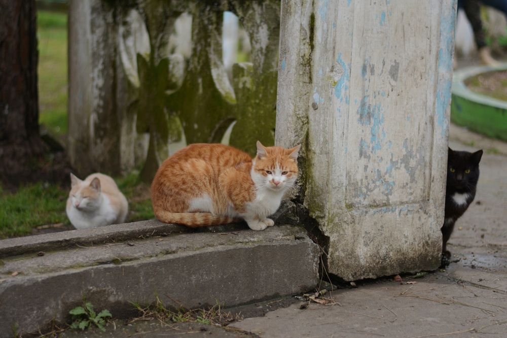 Photograph by Mina Mamdouhi